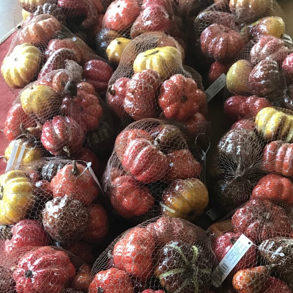 Set of 2 Metallic Fall Autumn Halloween Pumpkin and Gourd Bundle - Picture 4 of 5